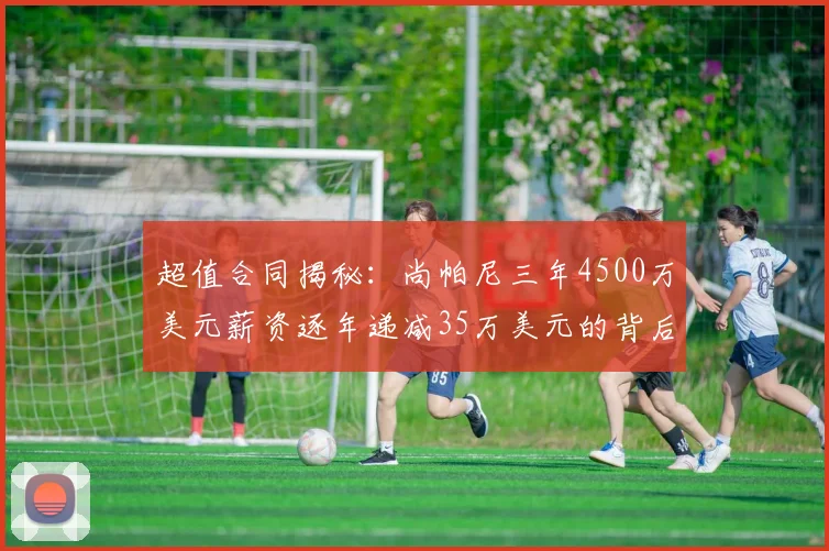 超值合同揭秘：尚帕尼三年4500万美元薪资逐年递减35万美元的背后故事